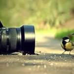 Cinematic & Immersive Stylesfirst Post