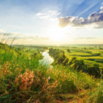 Technological Shifts: 