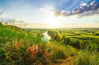 Technological Shifts: 