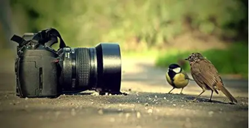 Cinematic & Immersive Stylesfirst Post